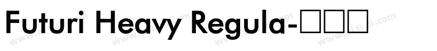 Futuri Heavy Regula字体转换